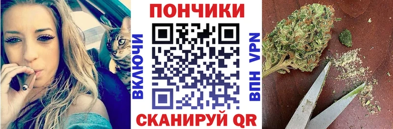 Конопля индика купить Межгорье